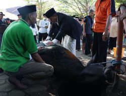 Danny Pomanto Gelar Open House