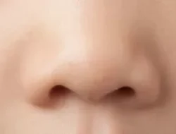 HIDUNG