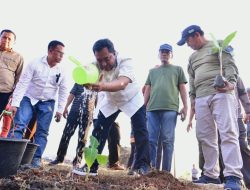 Pj Gubernur Sulsel Tanam Pisang Perdana di Mare, Rencana Undang Presiden Untuk Panen