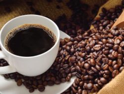 Bagi Penikmat Kopi, Tahukah Anda Perbedaan Kopi Robusta dan Arabika. Penasaran, Berikut Perbedaannya