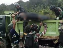 Danramil Aradide Gugur Ditembak dan Dibacok OPM