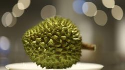 Durian