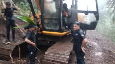 Hutan lindung