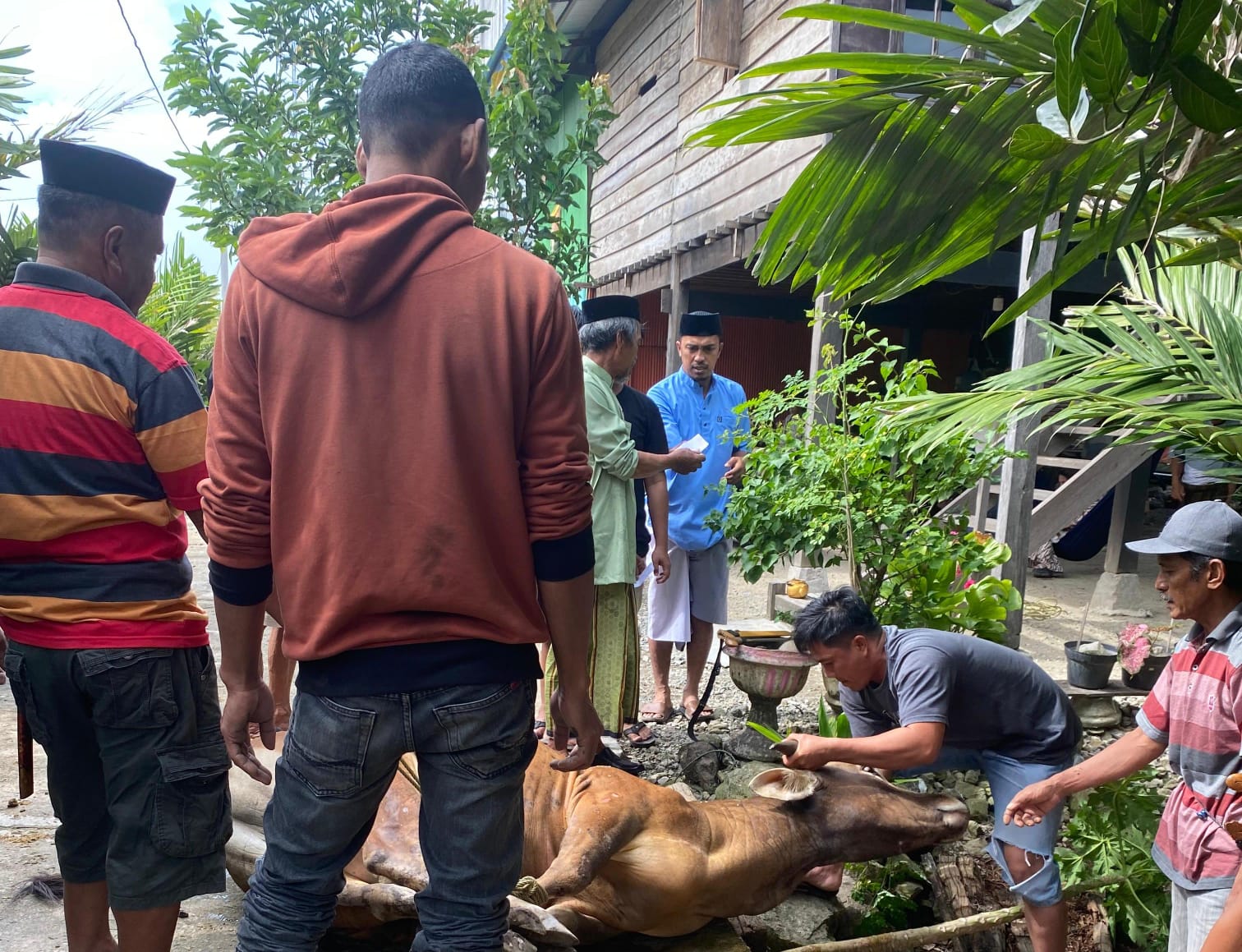 Dusun Lasape, Desa Katomporang, Pinrang