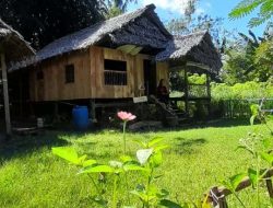Kepada Puan di Rumah Kayu