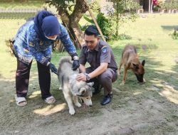 Hewan Sehat Kita Sehat