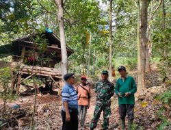 Hutan Memprihatinkan, Provinsi NTB Baru “Bangun Tidur”