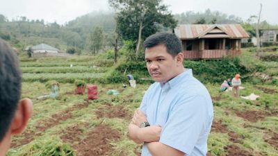 Nurdin