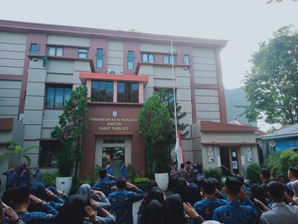 Sekcam Tamalate