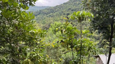 Wati Dusun Bara