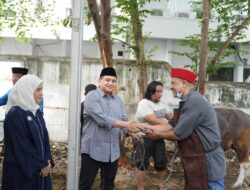 Wali Kota dan Wawali Saksikan Penyembelihan Hewan Kurban Pemkot Makassar