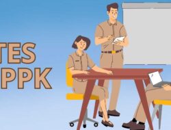 Seleksi PPPK Tahap II, Pelamar Dapat Cek Pengumuman Instansi Secara Berkala