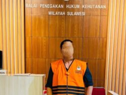 Gakkumhut Wilayah Sulawesi Tetapkan Direktur BCM sebagai Tersangka Peredaran Hasil Hutan Secara Ilegal