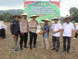 Polres Kolaka Gelar Penanaman Jagung Serentak di Desa Ulubaula Kec. Baula