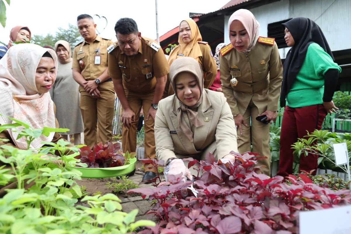 Fatmawati Rusdi memetik bayam