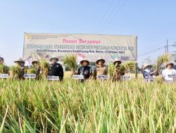 El Nino, Maros Bisa Panen Raya, Pj Gubernur Sulsel Ucap Terima Kasih