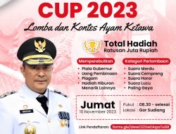 Kontes Ayam Ketawa Perebutkan Piala Gubernur Sulsel akan Digelar