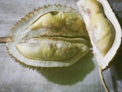 “Habis Gelap, Terbelah-Lah Durian”