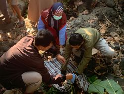 Penemuan Mayat Bayi Mengejutkan Warga Desa Tombolo Bantaeng