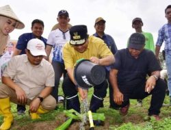 Pj Gubernur Sulsel dan Pj Bupati Bantaeng Adakan Penanaman Pisang Cavendish di 8 Kecamatan
