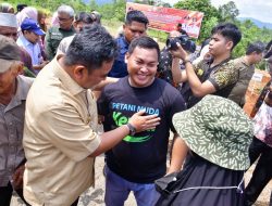 Petani Muda Keren Batara Guru Tanam Pisang Cavendish