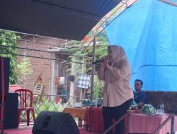 Putri Dakka, Ayam Betina dari Luwu Raya