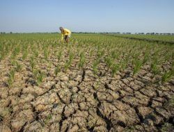 Tanda Kiamat, Peneliti Temukan Muncul di Bawah Tanah