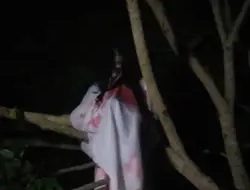 Antropolog Jerman Teliti Kuntilanak