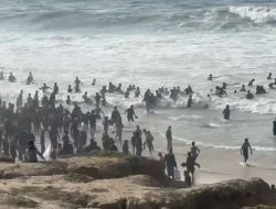 2,3 Juta Penduduk Gaza Hadapi Hal Mengerikan