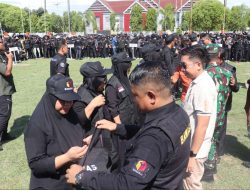 Ribuan Pengawas Pemilu Bulukumba Berkumpul, Ada Apa ?