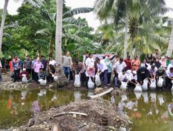 Pj Gubernur Sulsel Kembali Tebar 400 Ribu Bibit Ikan di Bone