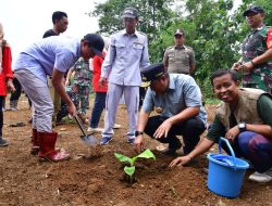 Ini Upaya Pj Gubernur Sulsel Lestarikan Rammang-rammang