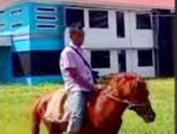 BBM Langka, Dosen di Maluku Naik Kuda ke Kampus