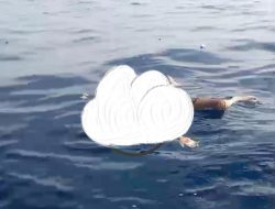 Tujuh Hari Dicari, Ilham Ditemukan Tewas Terapung oleh Nelayan