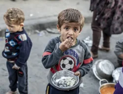 Sepertiga Anak-anak di Gaza Alami Kekurangan Gizi Akut