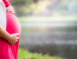 Ibu Hamil Diingatkan Kontrol Makan Hati