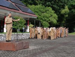 Sekda Sulsel Arahkan Gemar Tanam Pohon