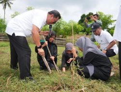 Terbesar di Indonesia, Pemprov Sulsel Tanam 2 Juta Pohon