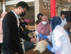 Kabar Gembira Bagi Pencinta Kucing, MPC Community dan Dinas Perikanan dan Pertanian Makassar Adakan Vaksinasi Gratis