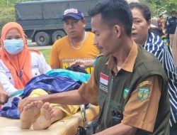 Luar Biasa, Tenaga Kesehatan Sulsel Tembus Lokasi Bencana di Luwu dengan Jalan Kaki