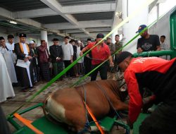 PJ Gubernur Sulsel Saksikan Pemotongan Hewan Kurban di Masjid Kubah 99