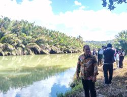 Heboh! Penampakan Buaya Besar di Sungai Lolisang Sinjai