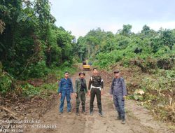 Gakkum KLHK Tahan Pemodal Pengrusakan Hutan di Sulbar, Pelaku Terancam 10 Tahun Penjara dan Denda 7.5 M