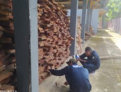 Gakkum KLHK Sulawesi dan BAKAMLA Gagalkan Penyelundupan Kayu Ilegal di Laut Banda, Terancam 5 Tahun Penjara