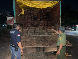 Terancam Hukuman 5 Tahun Penjara dan Denda Rp.2.5 M, Gakkum KLHK Sulawesi Limpahkan Berkas Perkara Kayu Ilegal ke Kejari Bantaeng