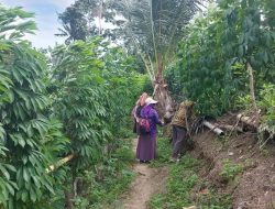 Program Kampung Iklim di Polewali Mandar : 57 Lokasi Dapat Penghargaan