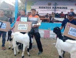 Peternak Binaan Rumah Zakat Raih Juara dalam Kontes Kambing.