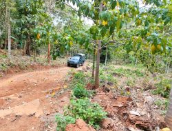 Lahan Contoh Penghijauan di Kec. Parado Bima (1): Naik Mobil Perang ke Bekas Hutan Lindung
