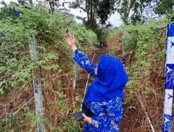 Kunjungi Uma Khalifa, SD Negeri Parinring Makassar Tertarik pada Pengolahan Pupuk Organik