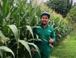 Kelembagaan P4S : Pilar Transformasi Petani Desa